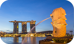 美國(guó)銀行賬戶及時(shí)回復(fù)消息