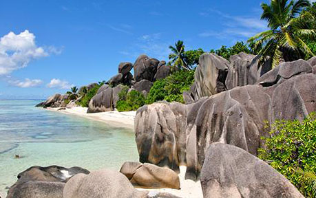 塞舌爾公司注冊"timg