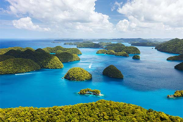 注冊(cè)塞舌爾公司