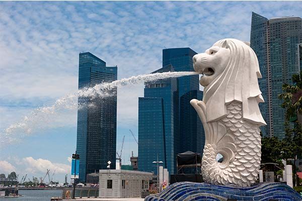 新加坡公司常見名詞解析