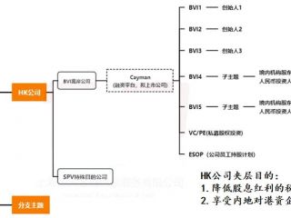 搭建離岸VIE架構(gòu)時(shí)，注冊WFOE公司有什么作用