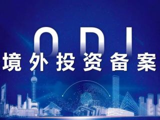 ODI境外投資備案，深入分析行業(yè)需求與潛力